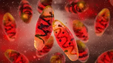 ДНК 4000-летней овцы оказалось ключом к древней тайне, стоившей жизни миллионам