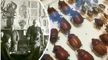 В России найдена уникальная научная коллекция, которая полвека считалась пропавшей без следа