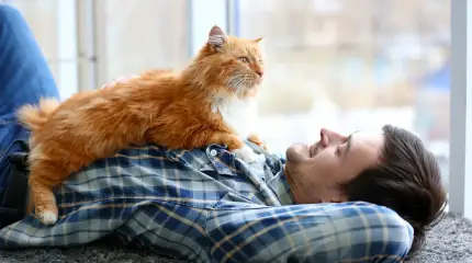 Похоже, между кошками и их хозяевами существует загадочная гормональная связь