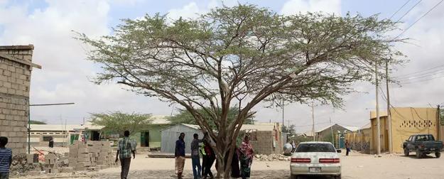 На политических картах не значится: как живет самое непризнанное государство на планете?