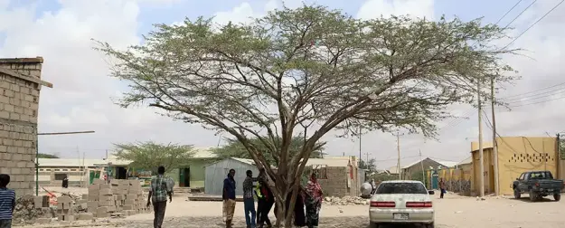 На политических картах не значится: как живет самое непризнанное государство на планете?