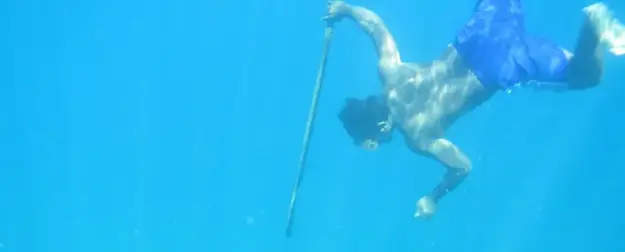 Разгадан секрет непревзойденных индонезийских ныряльщиков-баджо: они «прокачали» секретный внутренний орган