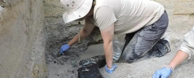 Деревянной конструкции... 500 тысяч лет: его построили не Homo Sapiens. Но тогда кто?
