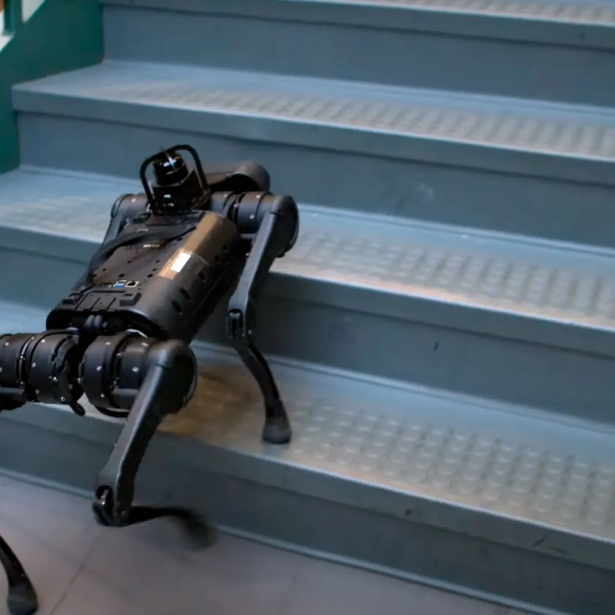 Робособака новой “породы” получилась дешевле, чем у Boston Dynamics