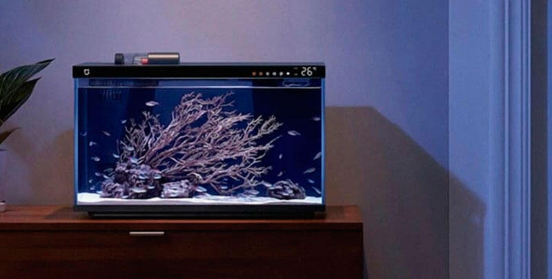 Китайский технологический гигант Xiaomi сделал умный аквариум Mijia Smart Fish Tank
