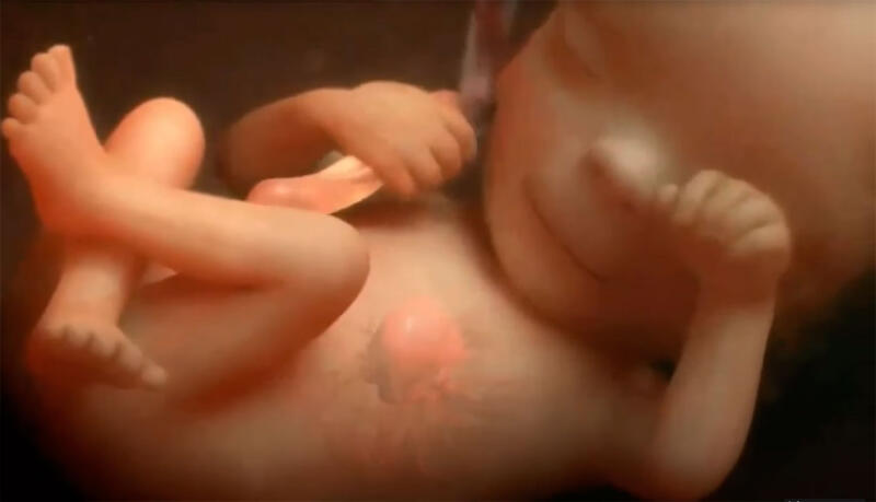 ИИ поможет отбору эмбрионов для ЭКО