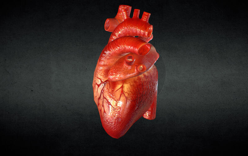 Индивидуальные копии сердца, напечатанные на 3D-принтере, выглядят и бьются так же, как настоящие