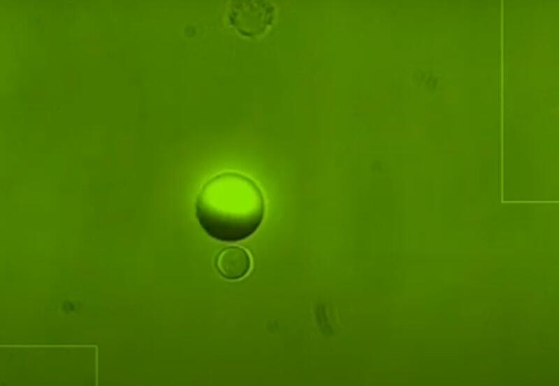 Гибридный микроробот воздействует на избранные клетки