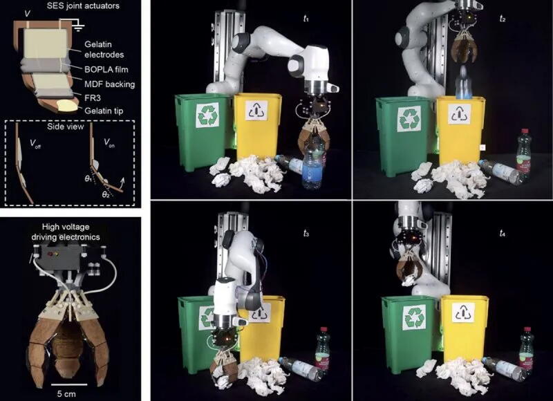Биоразлагаемую мышцу робота-уборщика можно в итоге выбросить в компост