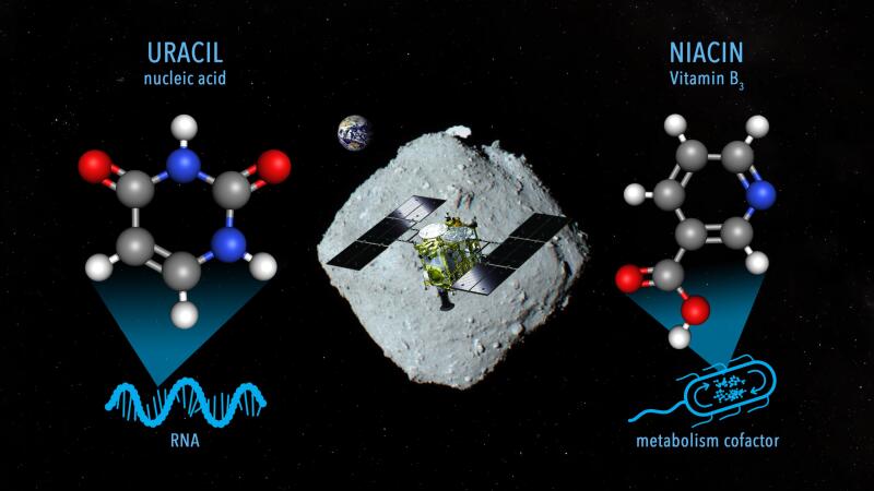 Мы не одиноки в космосе? Молекула РНК урацила обнаружена в образцах астероида Рюгу