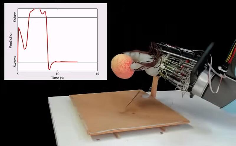 Всё дело в запястье: энергоэффективная роборука научилась удерживать персик