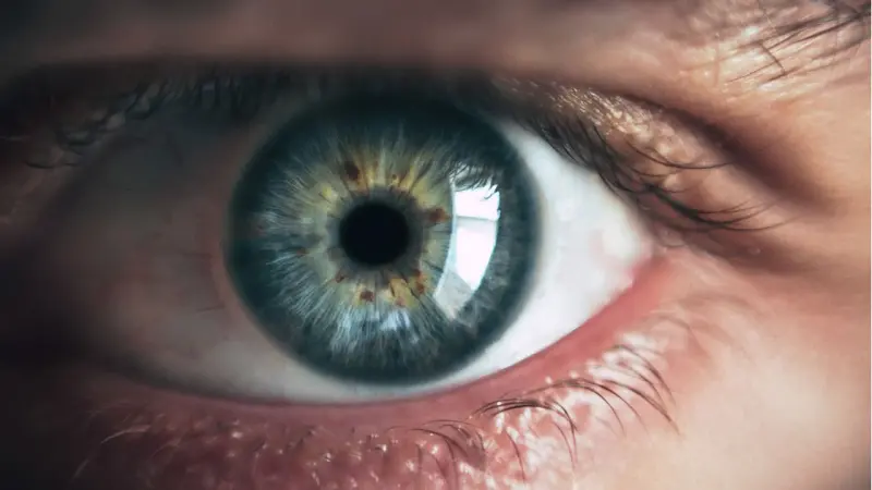 Искусственный глаз на основе перовскита: новая технология, которая может помочь слепым и роботам