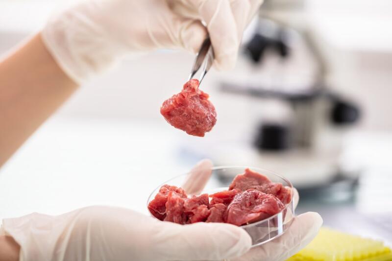 Выращенное в лаборатории мясо: будущее питания или опасная иллюзия?
