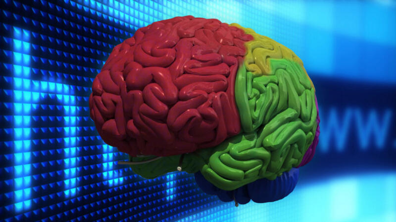 Может ли Интернет быть полезен для вашего мозга?