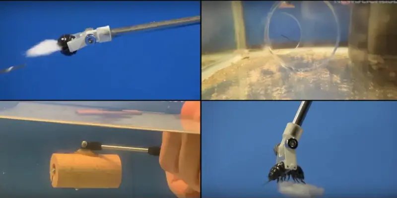 Живые мокрицы и моллюски стали узлами роботизированной руки