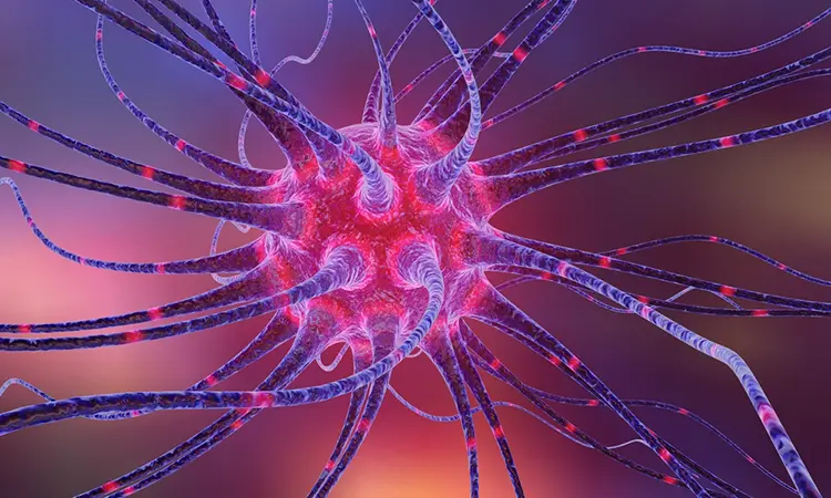 Вирусы могут вызвать слияние клеток мозга, что приведет к неисправности ЦНС
