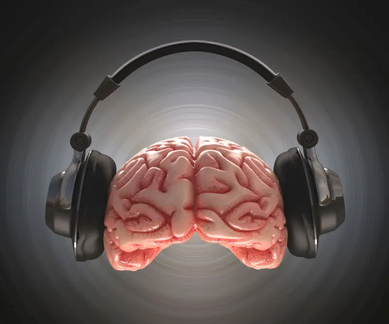 Почему наш мозг не теряет нить разговора в шумной комнате
