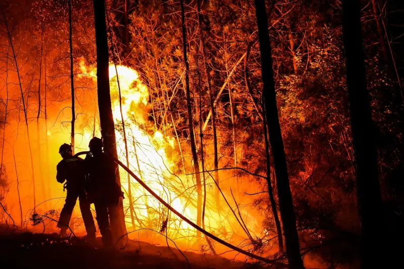 Математика против огня: новый способ борьбы с лесными пожарами