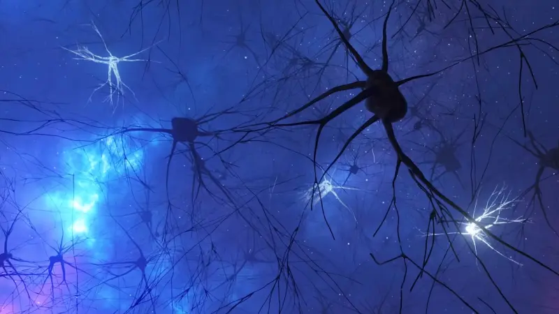 Новое исследование позволило лучше понять как нейроны общаются между собой