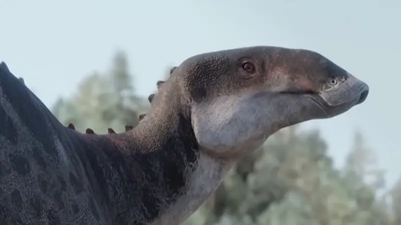 В Чили обнаружили новый вид динозавров