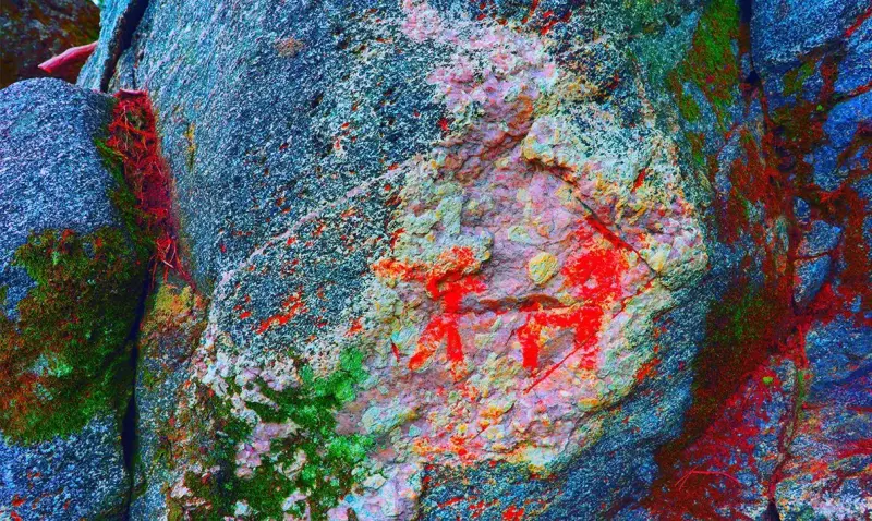Скрывшиеся в камне: тайны древних пиктограмм