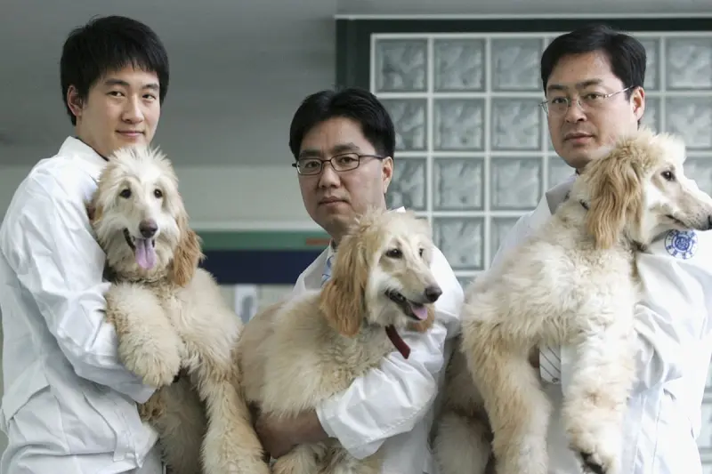 Не только еда: корейские ученые создали атлас собачьего эпигенома