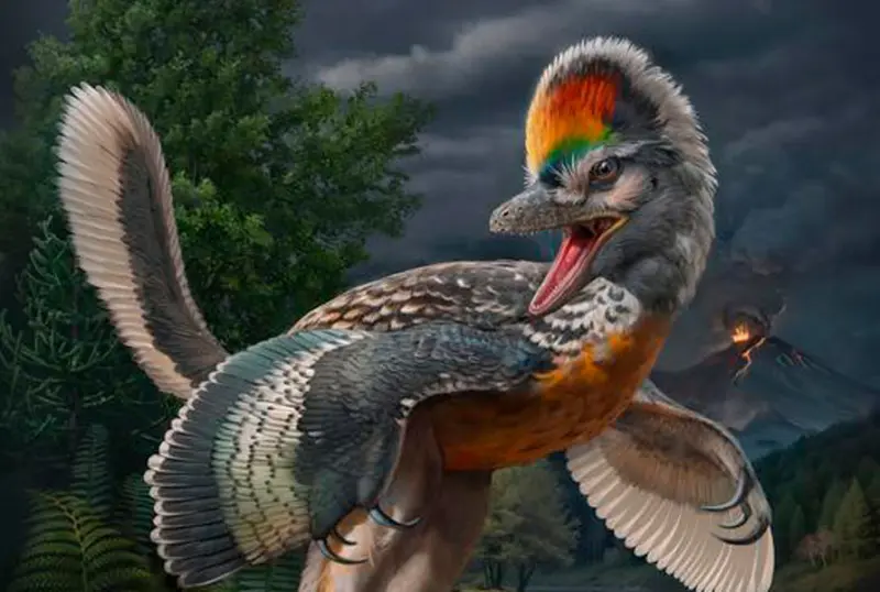 Палеонтологи, возможно, нашли недостающую ветвь между динозаврами и птицами