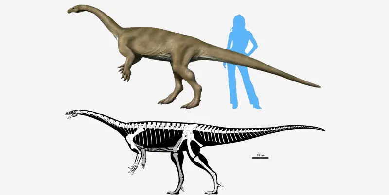 Нашли недостающее звено: новое исследование проливает свет на то, как динозавры стали гигантами