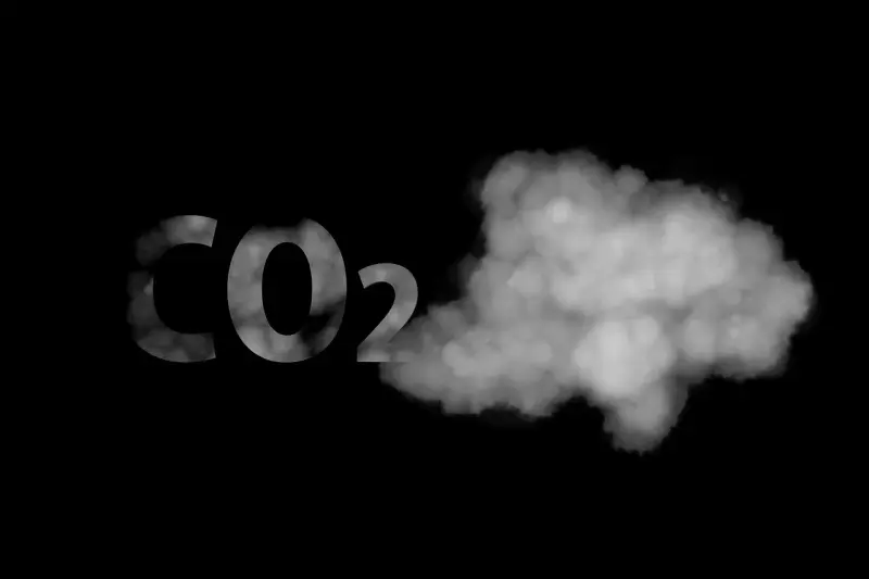 Углерод и деньги прямо из воздуха: учёные представили новый метод улавливания углекислого газа