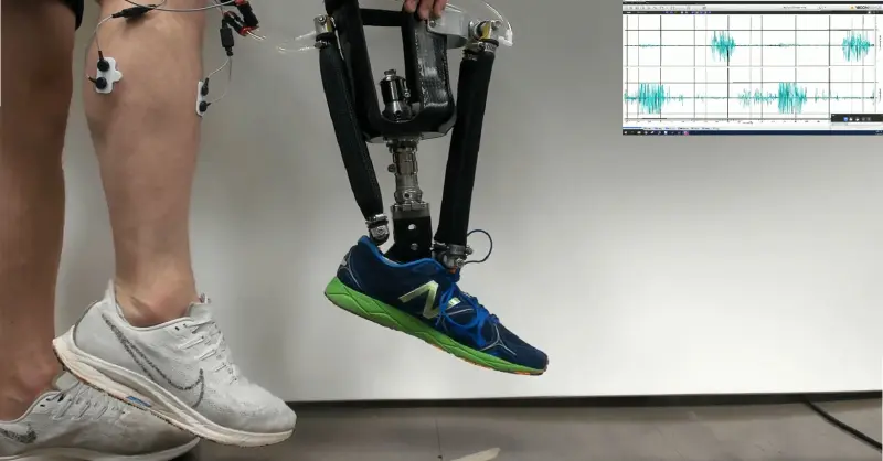 Роботизированные протезы лодыжек позволят людям с ограниченными возможностями двигаться естественно