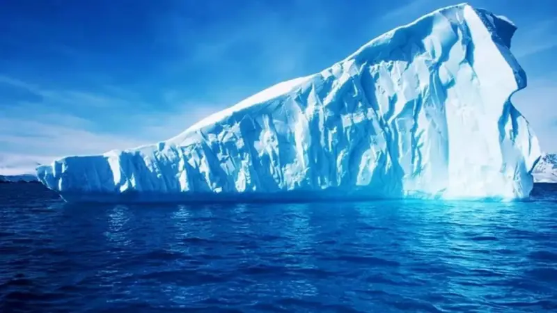 Тур без конечной остановки: Самый крупный айсберг в мире стронулся с места