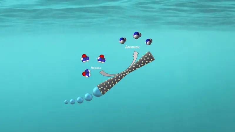 Автономные газующие «моторчики» при очистке сточных вод вырабатывают аммиак для топлива