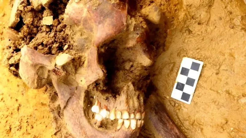 В Англии откопали пришедшего из России 2000 лет назад