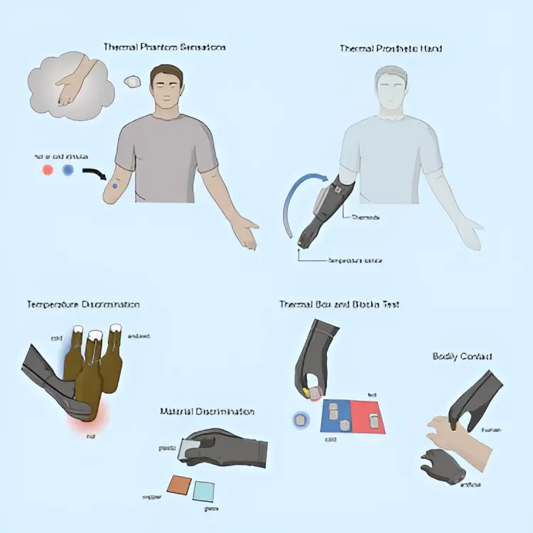 Протез руки научили воспринимать горячее и холодное