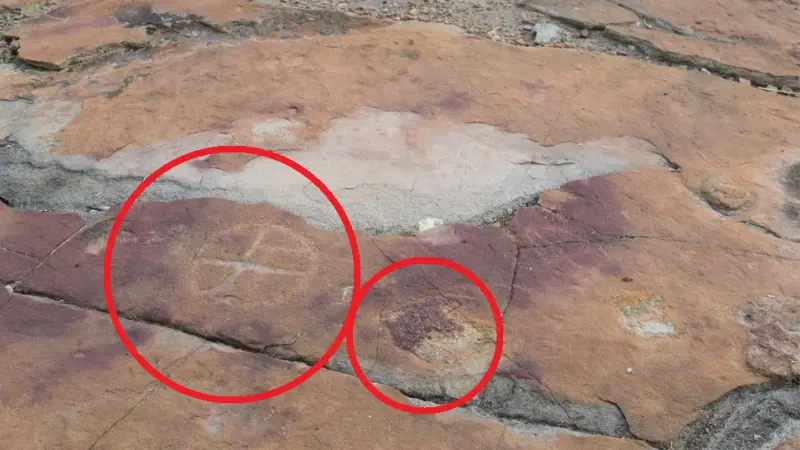 Более 9000 лет назад индейцы Бразилии оставили рисунки рядом со следами динозавров