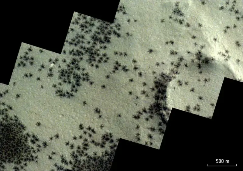 Орбитальный аппарат обнаружил «пауков» на поверхности Марса