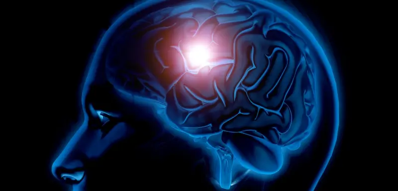 ИИ различил мозг мужчин и женщин по МРТ с точностью в 98%