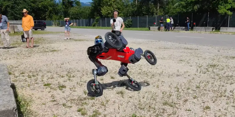На колёсах и пешком: робот преодолевает ступени и ездит быстрее всех