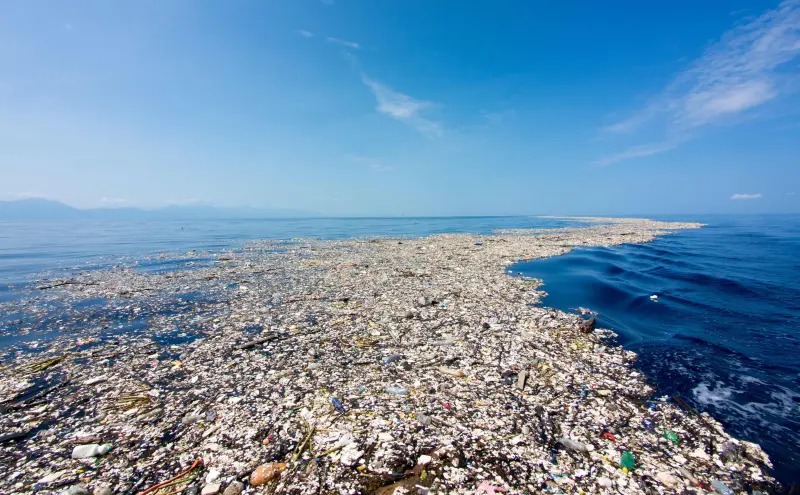 Планета нашла способ очиститься от пластика