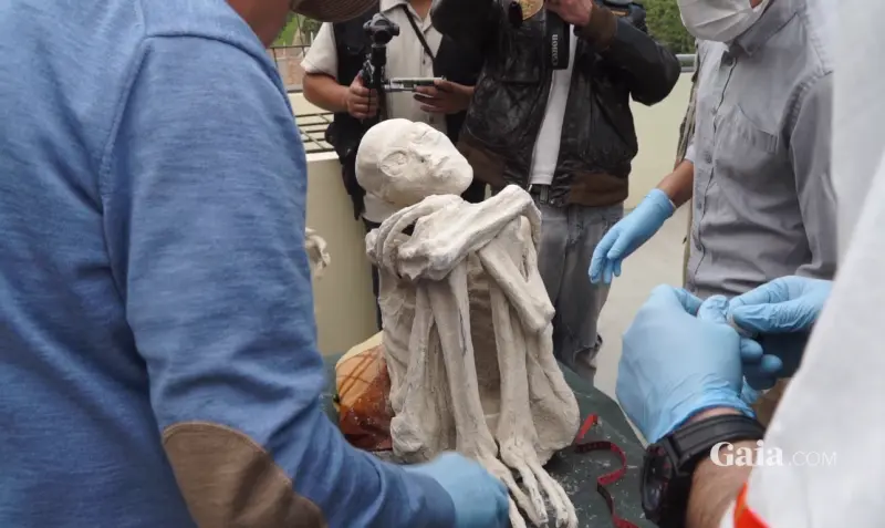 Открылись новые подробности о трехпалой «мумии пришельца» из Южной Америки