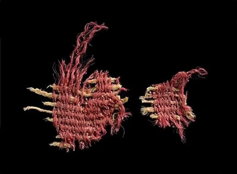 Крашеный пигментом из насекомых лоскуток возрастом 3800 лет нашли в Израиле