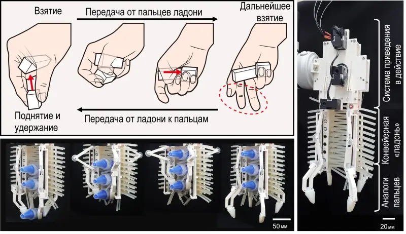 Роботизированный захват научили перемещать сразу несколько предметов