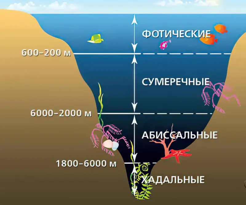 Ученые бьют тревогу: Мировой океан стремительно темнеет