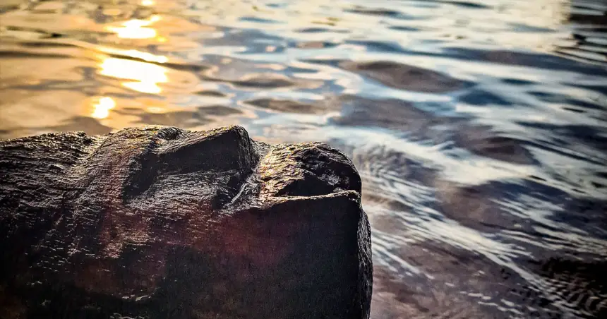 Водолазы исследовали озеро в Польше и случайно наткнулись на жуткое древнее лицо