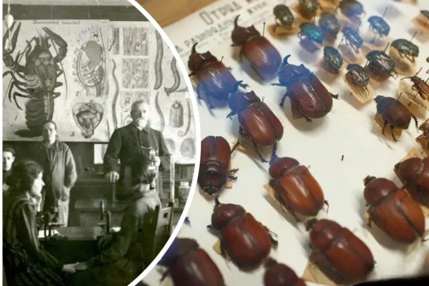В России найдена уникальная научная коллекция, которая полвека считалась пропавшей без следа