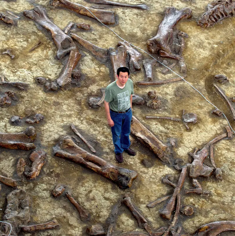 Жители китайской деревни 20 лет подряд ели… самого большого динозавра в Азии