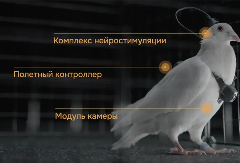 Технология будущего уже здесь: в России разработан уникальный дрон. Он… живой