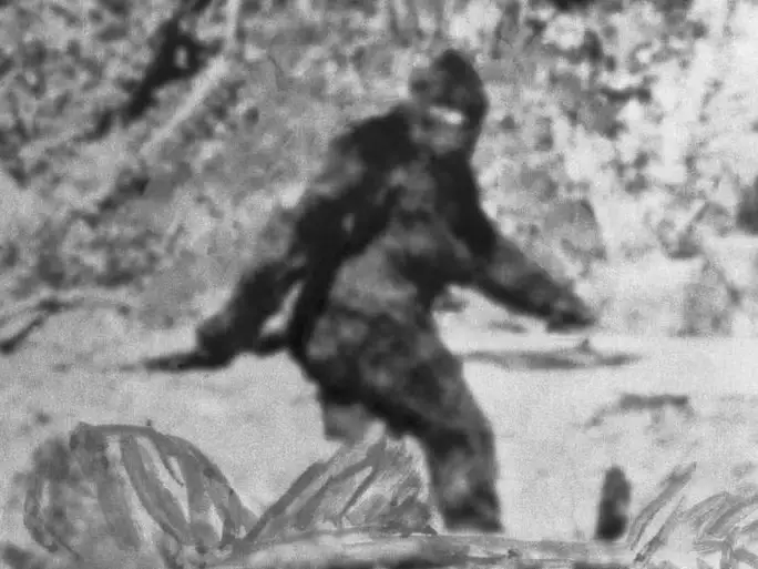 ФБР опубликовало официальный отчет о снежном человеке