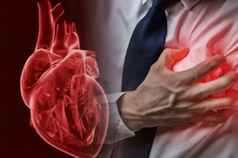 20-летнее исследование увенчалось полным успехом: ученые научились запускать самовосстановление... в сердце