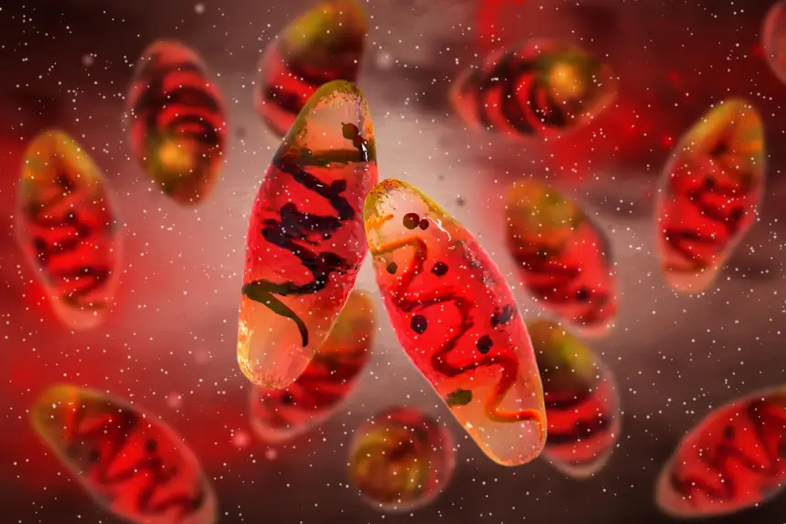 ДНК 4000-летней овцы оказалось ключом к древней тайне, стоившей жизни миллионам